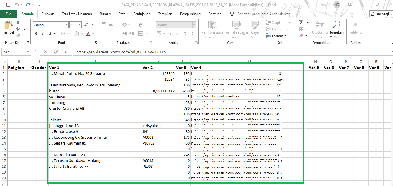 Contoh hasil download data pelanggan dari kaspin.png